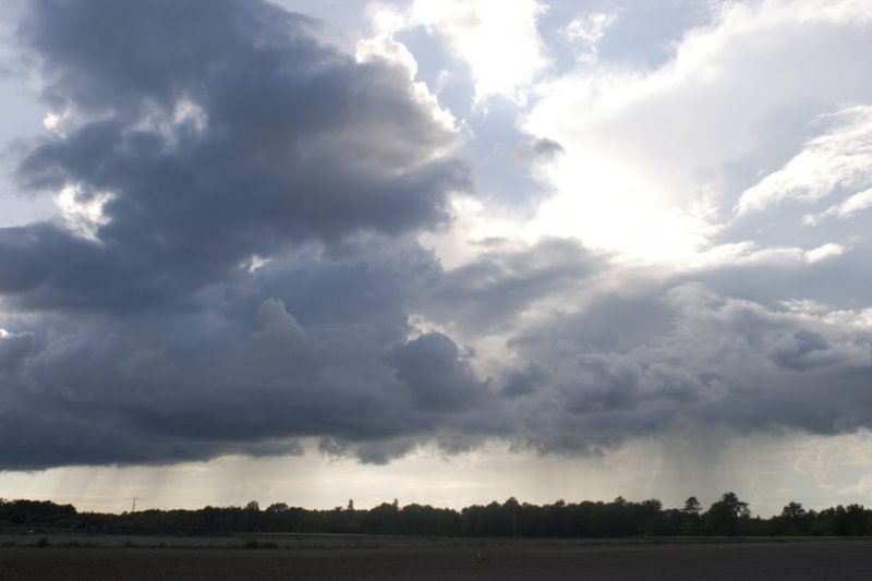 regen.jpg