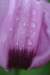_0147_small.jpg
