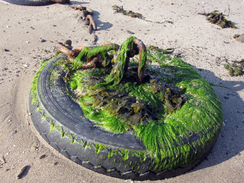 cancale.jpg