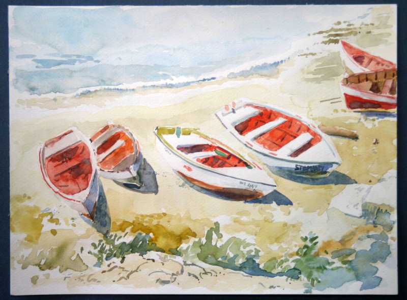 visserbootjesbijbocastmichiel.jpg