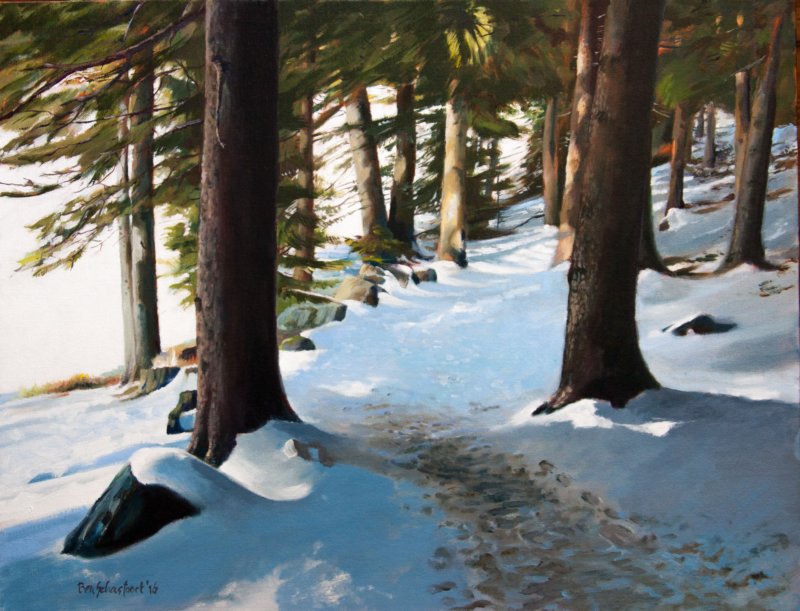 schneewanderwegamkleinenarbersee.jpg