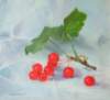 rotejohannisbeeren_small.jpg