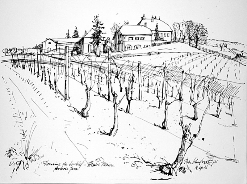domainedusorbief.jpg