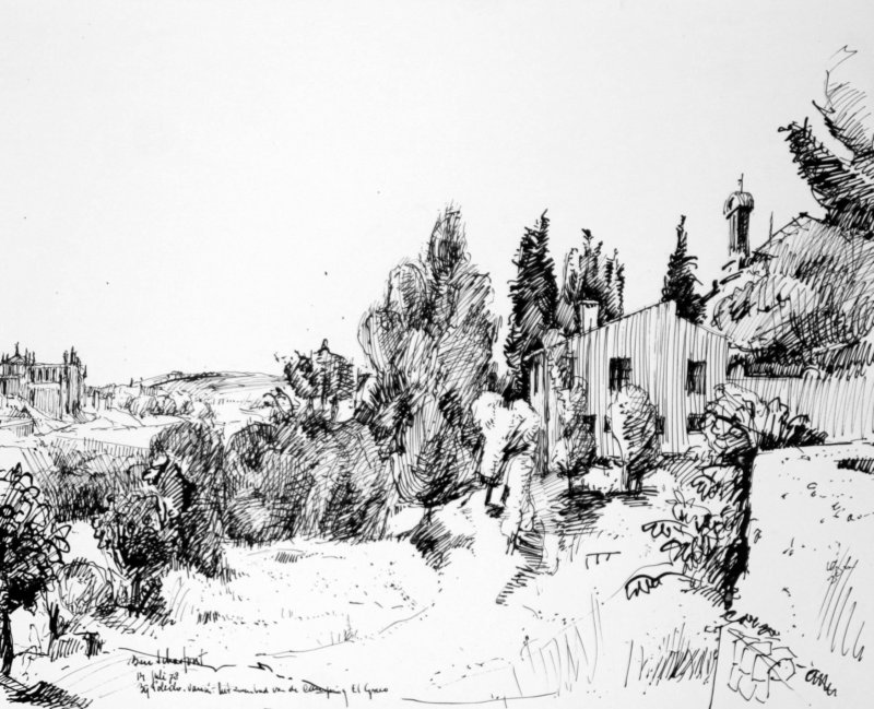 landschap.jpg