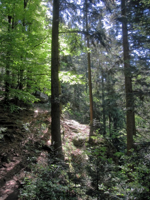 kaitersberg013.jpg