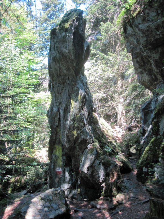 kaitersberg018.jpg