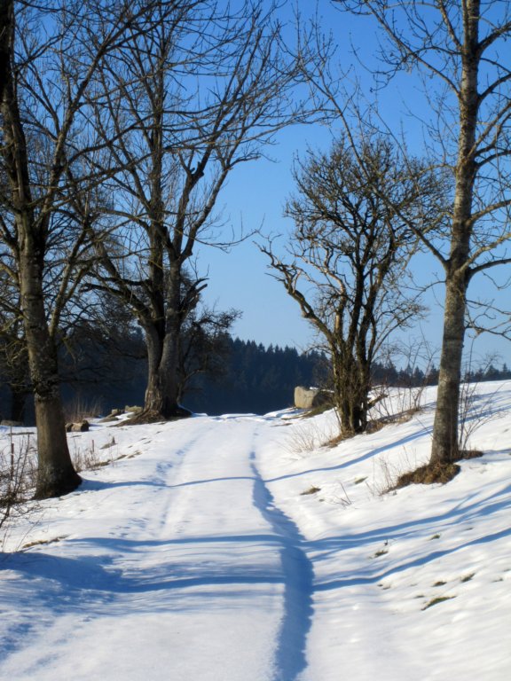 img_7592.jpg