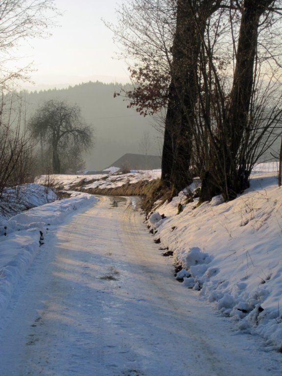 img_7614.jpg