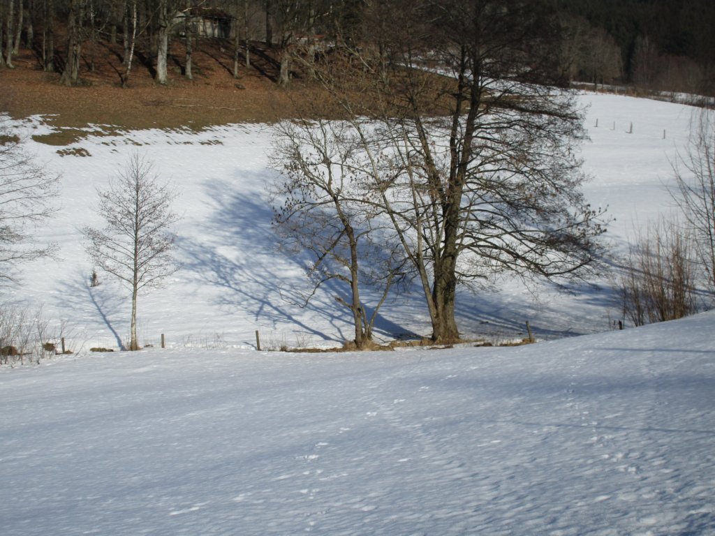 img_4446.jpg