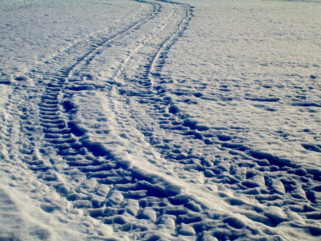 img_4471.jpg